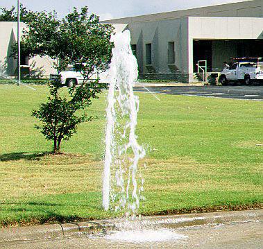 Sprinkler head needs repairs from our Oceanside CA sprinkler repair team