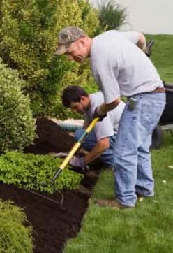 Oceanside CA irrigation repair contractors install new landscape